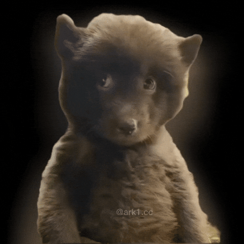 Cute Bear GIF