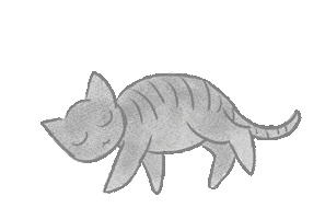 Cat Sticker