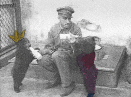 Hungry Sound And Vision GIF by Beeld en Geluid