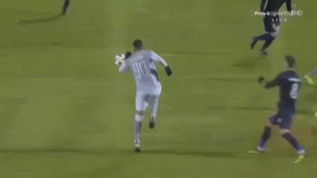 goal paokfamily GIF by PAOK FC