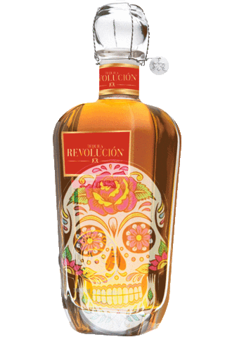 Party Halloween Sticker by Tequila Revolución USA