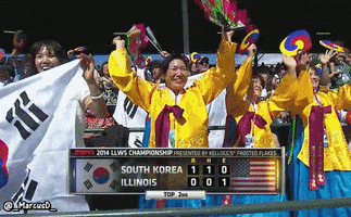 little league world series korean GIF