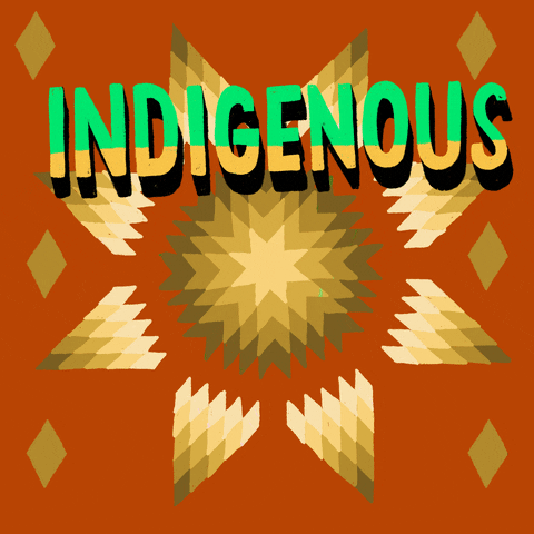 indigenizations meaning, definitions, synonyms