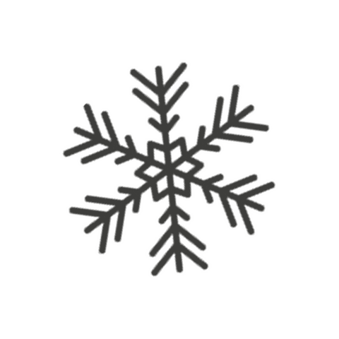 Winter Snowflake Sticker by Dumbo, Brooklyn