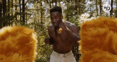 Descendant Of Zack Taylor GIF