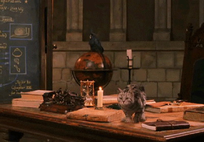 Harry Potter Professor Mcgonagall GIF - Find & Share on GIPHY