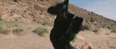 Strawberry Lite GIF by Honey Harper
