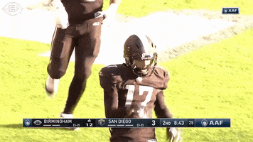 excited alliance of american football GIF by Birmingham Iron