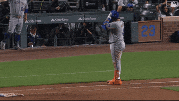 Excited Pumped Up GIF by New York Mets