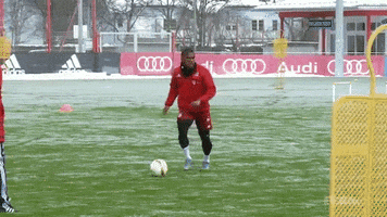 training touch GIF by FC Bayern Munich