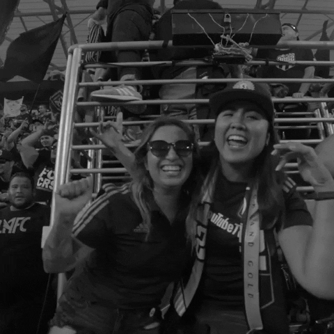 banc of california stadium supporters GIF by LAFC