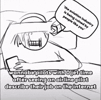 Pilot Aviation GIF
