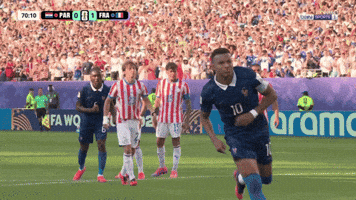France Football GIF
