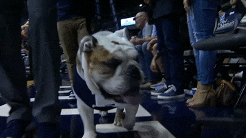 big east trip GIF by BIG EAST Conference