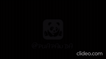 Panda GIF