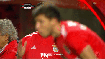 sl benfica clap GIF by Sport Lisboa e Benfica