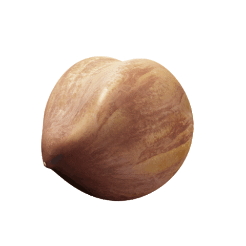Nut Hazelnut Sticker by Gravity Agency