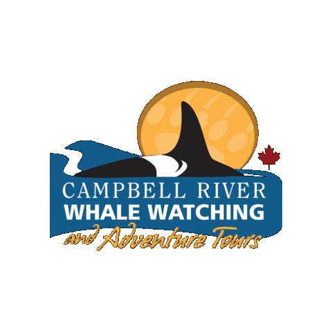 Campbell River Whale Watching and Adventure Tours Sticker