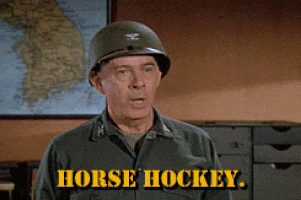 Horse-hockey GIFs - Find & Share on GIPHY