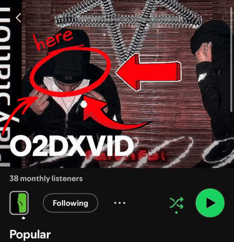 O2Dxvid Spotify 2 GIF