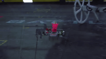 Funny GIF