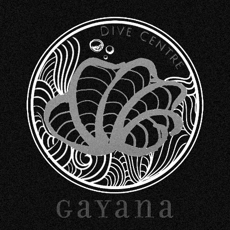 gayanadivecentre GIF