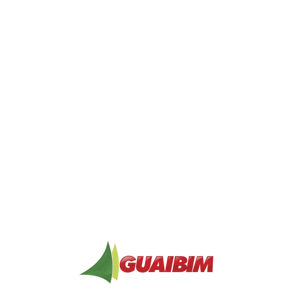 Bahia Varejo Sticker by Lojas Guaibim