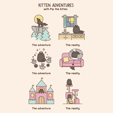 Pusheen Pip GIFs - Get the best GIF on GIPHY