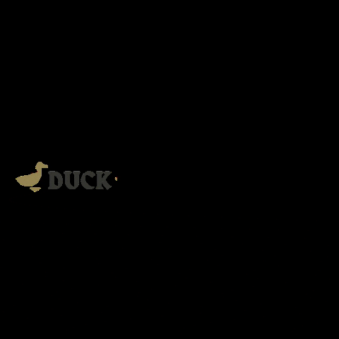 Duck-Duck-Goose meme gif
