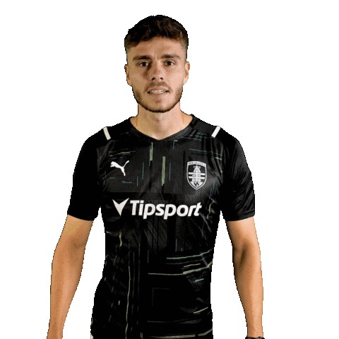 Football Soccer Sticker by MFK Skalica