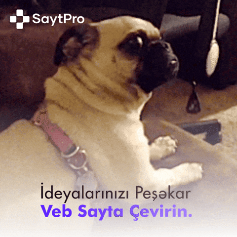 Saytpro GIF