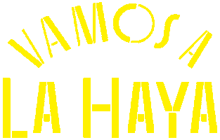 Strand Denhaag Sticker by Den Haag To Go