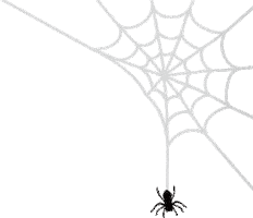 Spooky Spider Web Sticker