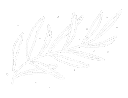 Art Illustration Sticker