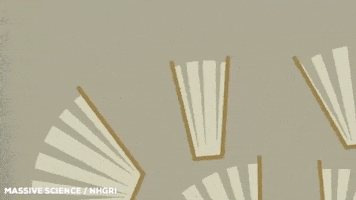 Open Book GIF by Massive Science