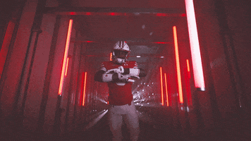 No Fly Zone Football GIF by Wisconsin Badgers