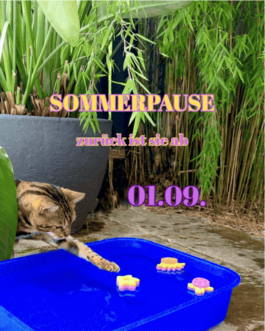 Break Pause GIF by Kitty Fuchs