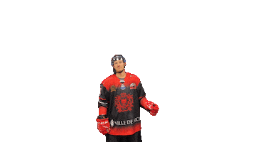 Les Aigles de Nice Sticker