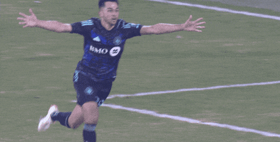 Excited Go Crazy GIF by Major League Soccer