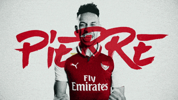 celebrate premier league GIF by Arsenal