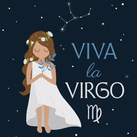 Virgo Season GIF by evite