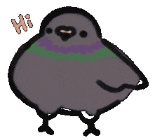 Bird Pigeon Sticker