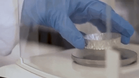Gloved hands placing a food sample on an analytical balance in a laboratory, the origin of lab-analyzed nutrient data