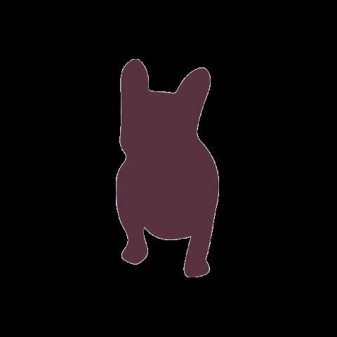 Dogs Fransie GIF by Blake seven