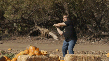 andy richter pumpkin GIF by Team Coco