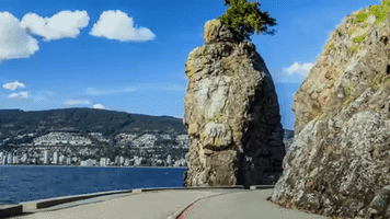 stanley park GIF by Tourism Vancouver