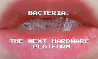 Bacteria GIF by Lauren