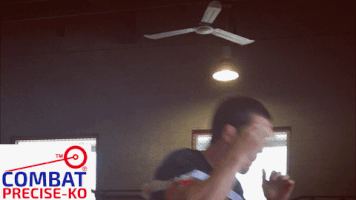 Mma Combat Precise GIF