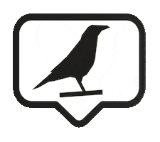 Film Cinema Sticker by IndieLisboa