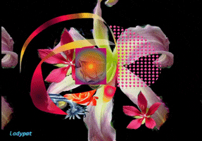art flowers GIF by ladypat